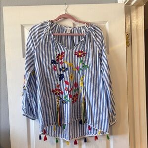 Intro. Blue Striped Blouse with Multicolor Embroidery